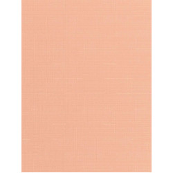 Рулонна штора Len 812 Пудровий