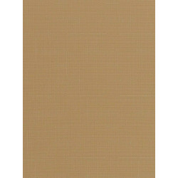 Рулонна штора Len 502 Коричневий